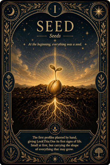 Carta Seed — frente